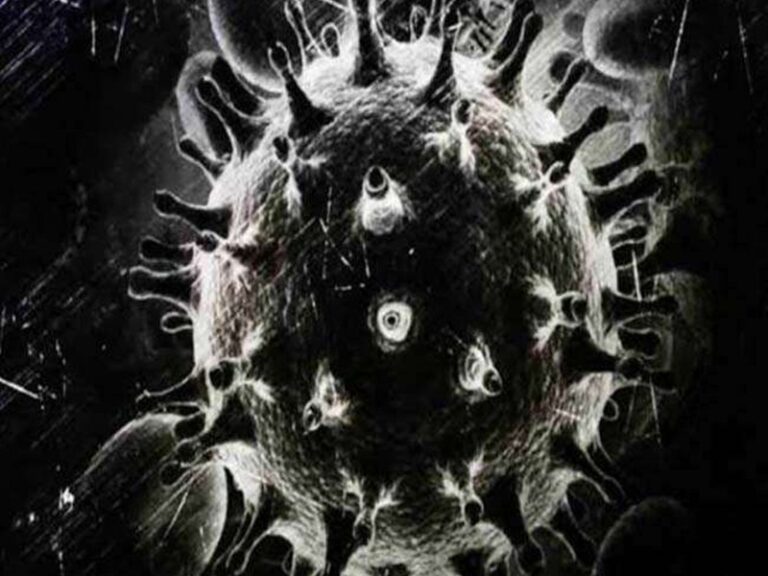 12_05_2021-black_fungus_in_cg_2021512_155715