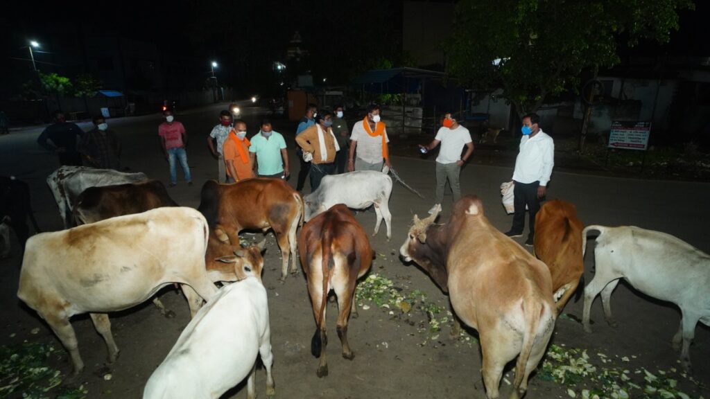 श्रीराम जन्मोत्सव समिति द्वारा लगातार गौसेवा, जरूरतमंदों को राशन एवं भोजन