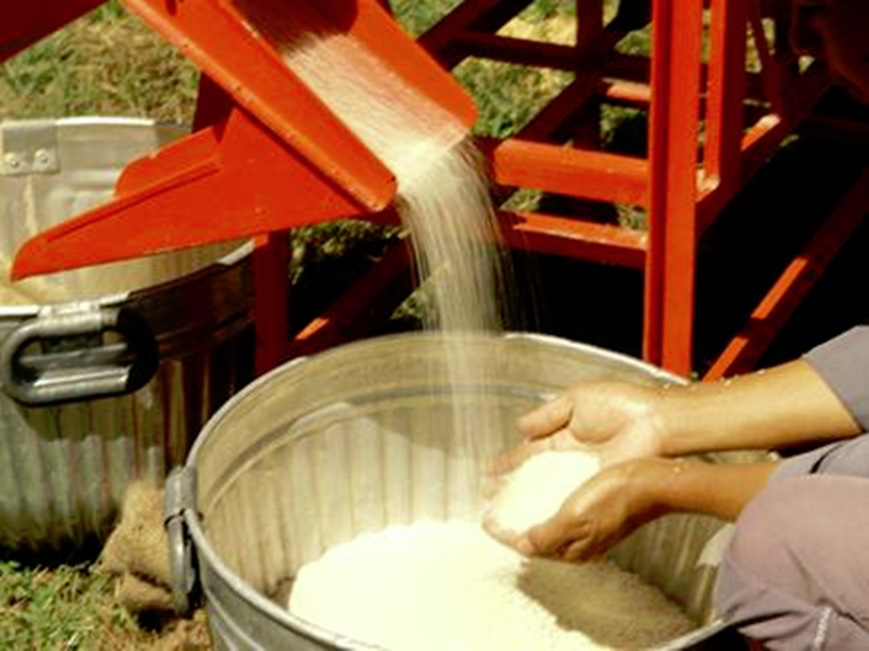 एपीएल कार्डधारियों के राशन का सबसे ज्यादा डाका