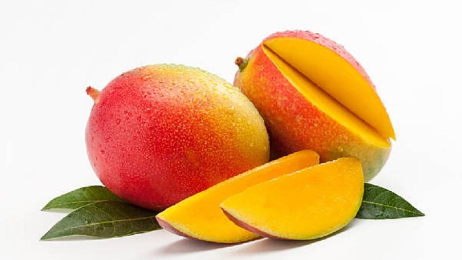 आम खाने से मोटापा बढ़ता है और इम्यूनिटी होती है कमजोर? जानें- क्या कहते हैं एक्सपर्ट