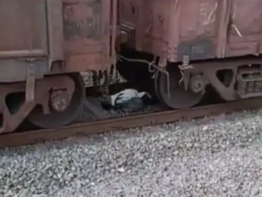 पटवारी के ऊपर से गुजरी मालगाड़ी,नीचे लेटकर बचाई जान