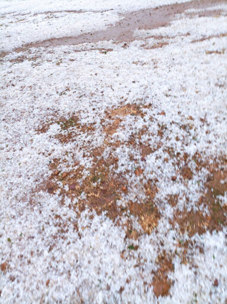 अधिकांश जिलों में तेज बरसात के साथ ओले