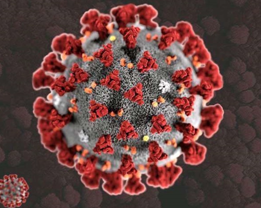 Omicron का तीसरा केस, गुजरात में जिम्बाब्वे से आया शख्‍स पॉजिटिव