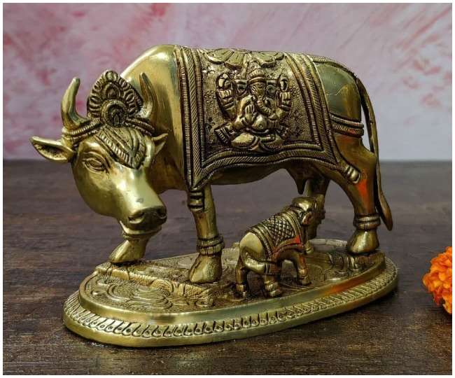 घर या ऑफिस में रखें गाय की मूर्ति, धन-समृद्धि की भी होगी बढ़ोतरी