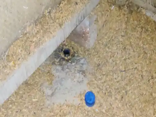 पानी के टंकी से शराब सप्लाई आरोपी गिरफ्तार