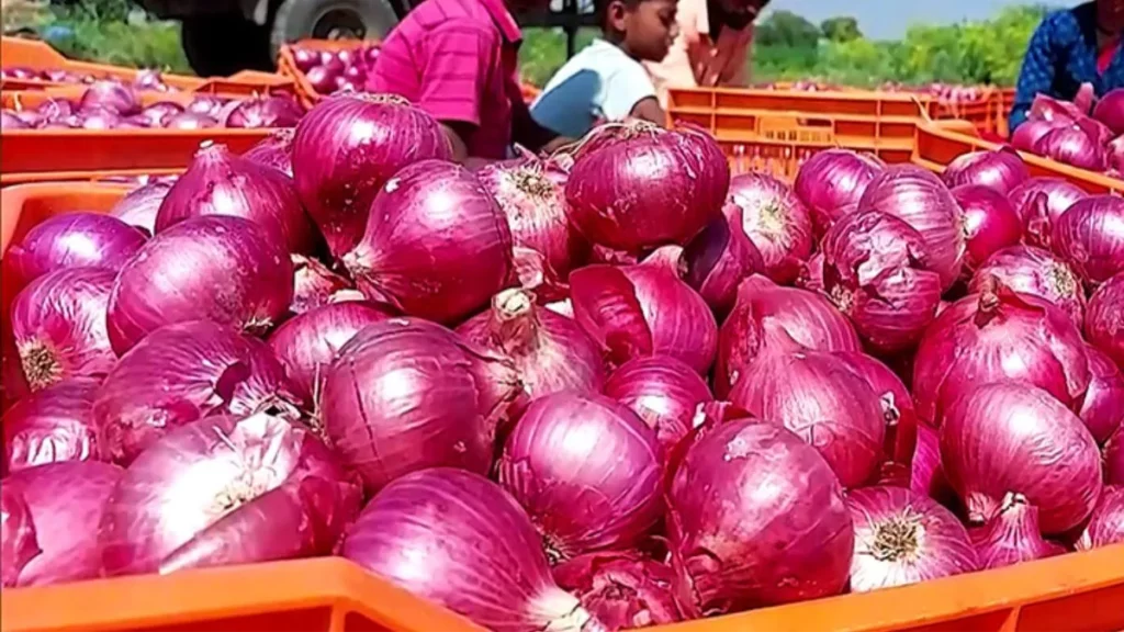 केंद्र सरकार के हस्तक्षेप के बाद प्याज की कीमत में हुई गिरावट