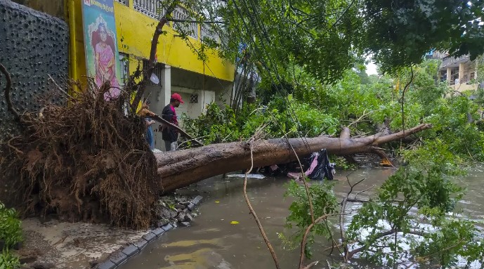चक्रवात फेंगल ने तमिलनाडु में दी दस्तक, तूफान के साथ कई जिलों में भारी बारिश; अंतरराष्ट्रीय एयरपोर्ट बंद