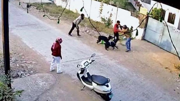गाड़ी पर जा रहे थे बाप-बेटी, दो महिलाओं ने उनके पीछे छोड़ दिए शिकारी कुत्ते… 40 जगहों पर काटा