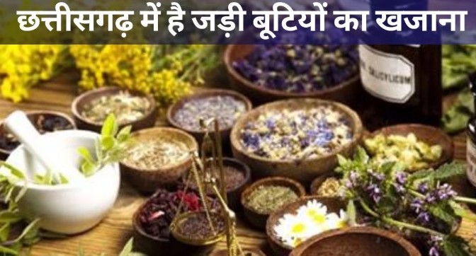 सरकारी मान्यता और जड़ी-बूटियों से बढ़ेगा छत्तीसगढ़ के वैद्यों का भरोसा, चिकित्सा क्षेत्र में दिखेगा बदलाव