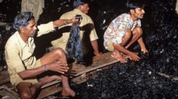 नेपाल बॉर्डर पर सबसे बड़ी बरामदगी, चीन भेजा जा रहा था 1600 किलो इंसानी बाल, तीन तस्कर गिरफ्तार