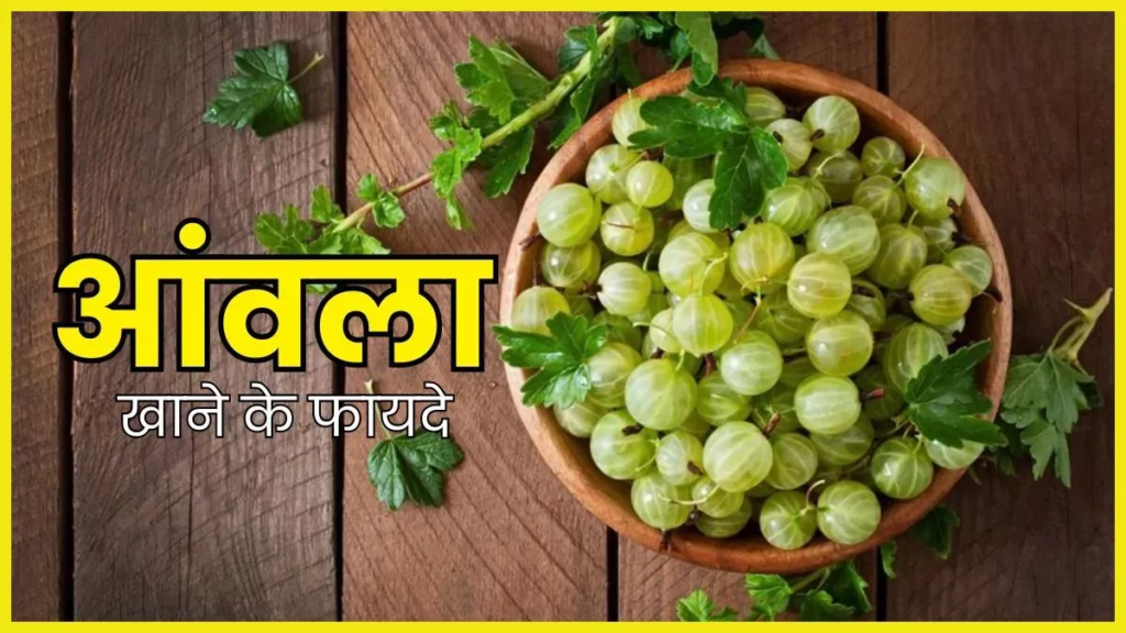 रोजाना एक Amla खाने से क्‍या होगा? फायदे जान लेंगे तो आप भी नहीं कर पाएंगे यकीन