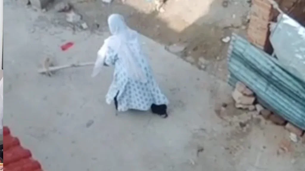 मुरैना में पीट-पीटकर कुत्ते सहित चार पिल्लों को मारा, भिंड में प्लास से दांत उखाड़े; आरोपी गिरफ्तार