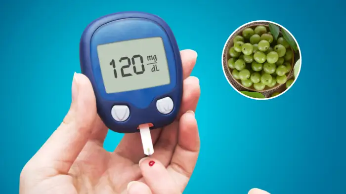 30% डायबिटीज खत्म कर देगी 1 देसी चीज, हजारों साल से खा रहे हैं लोग, हड्डियों में भरेगा कैल्शियम