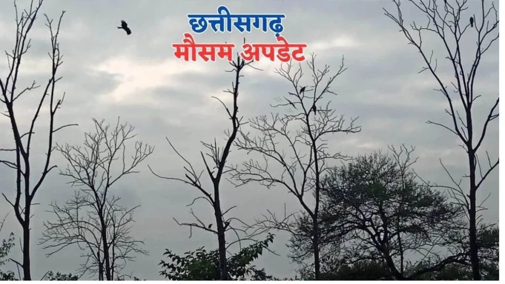 खत्म होने वाला है इंतजार, छत्तीसगढ़ के इन इलाकों में आज भारी बारिश का अलर्ट