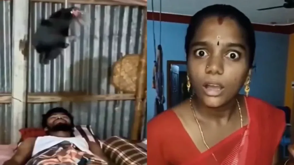 बस यही देखना रह गया था क्या? वायरल Video देख आप भी हो जाएंगे पूरी तरह से दंग
