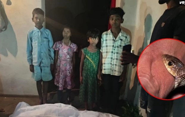सांप ने चार मासूमों को कर दिया अनाथ, जमीन पर सो रहे पति-पत्नी को डस लिया