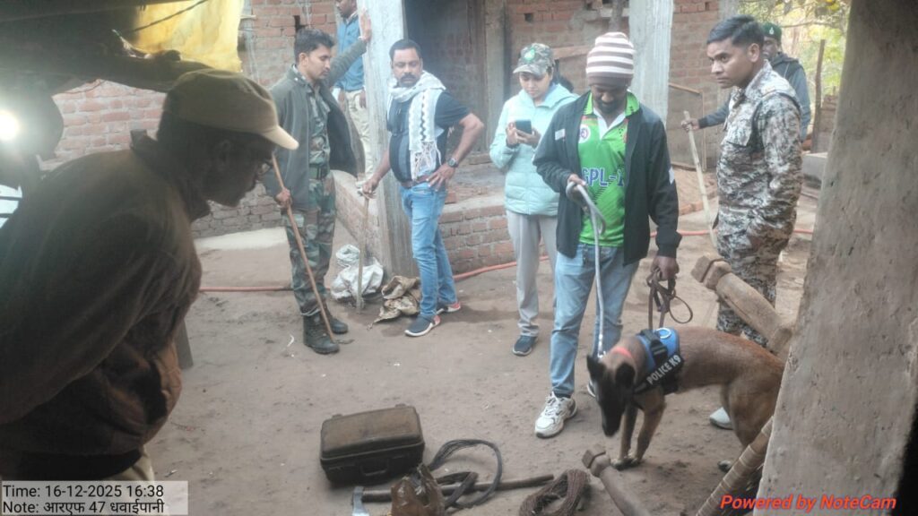 कवर्धा वनमंडल में वन विभाग की त्वरित कार्रवाई से बायसन (गौर) मृत्यु प्रकरण का खुलासा, दो आरोपी गिरफ्तार