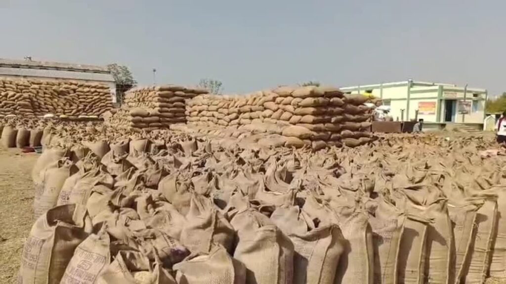 धान शॉटेज मामले में संग्रहण केंद्र प्रभारी निलंबित, डीएमओ को कारण बताओ नोटिस।