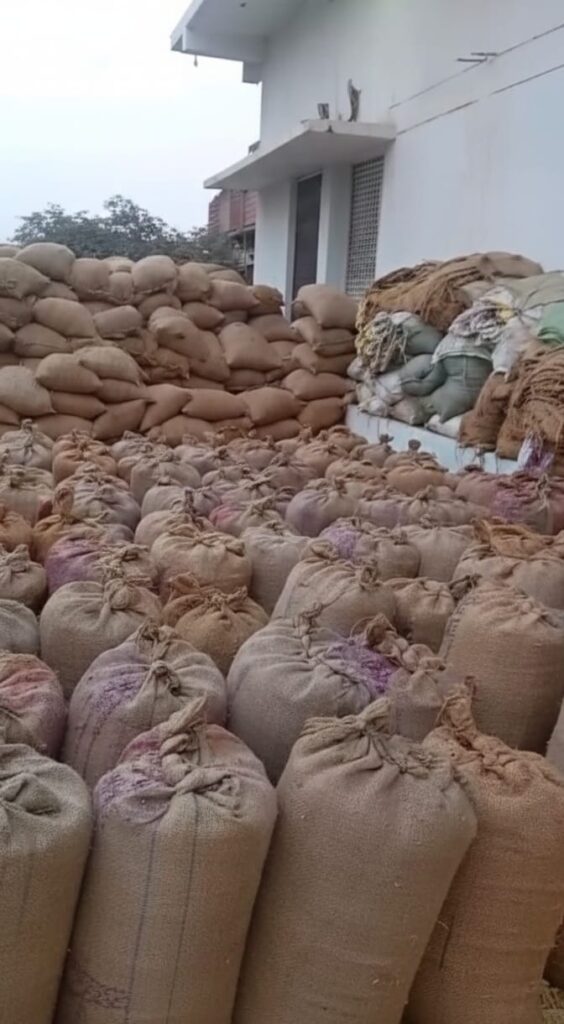 बिना दस्तावेज अनाज भंडारण पर बड़ी कार्रवाई  सहसपुर लोहारा के जैन ट्रेडर्स में 4738 बोरी धान और अनाज जप्त