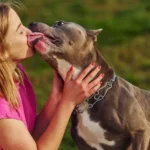 पालतू कुत्ते का चाटना पड़ सकता है भारी, महिला को गंवानी पड़ी दोनों हाथ और पैर, जानें क्या है सेप्सिस का खतरा