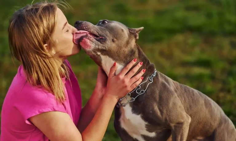 पालतू कुत्ते का चाटना पड़ सकता है भारी, महिला को गंवानी पड़ी दोनों हाथ और पैर, जानें क्या है सेप्सिस का खतरा