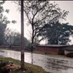 सरगुजा से महासमुंद तक आंधी-बारिश और ओलावृष्टि, अंबिकापुर में तेज हवाओं से टूटे पेड़, किसानों की बढ़ी चिंता