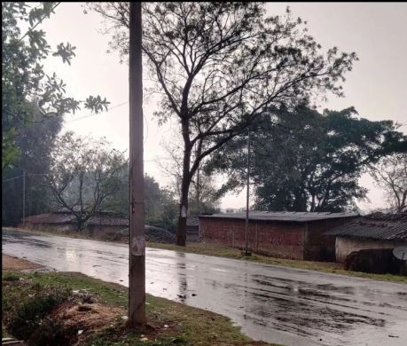 सरगुजा से महासमुंद तक आंधी-बारिश और ओलावृष्टि, अंबिकापुर में तेज हवाओं से टूटे पेड़, किसानों की बढ़ी चिंता