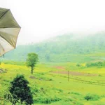 छत्तीसगढ़ में ऐतिहासिक फैसला… जशपुर में मतांतरितों से वापस ली जाएगी आदिवासियों की 114 एकड़ जमीन।