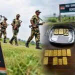 gold-smuggling